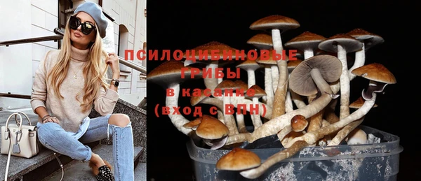 синтетический гашиш Алексеевка