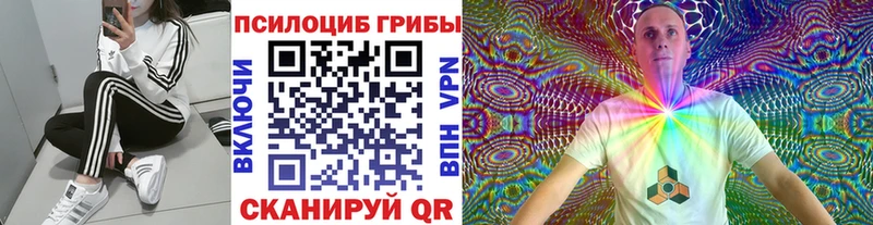 Псилоцибиновые грибы GOLDEN TEACHER  Кропоткин 