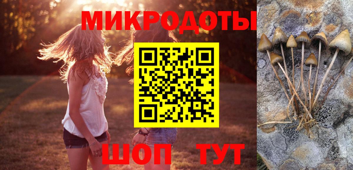 Галлюциногенные грибы MAGIC MUSHROOMS  Вход с VPN  Кропоткин 