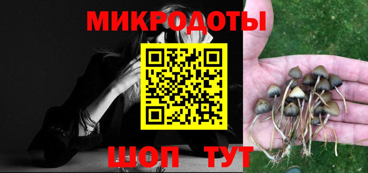 Псилоцибиновые грибы мухоморы Кропоткин